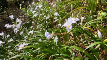 image1 (023)