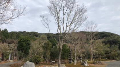 大晦日