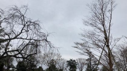 冬