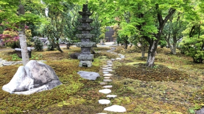 こけ
