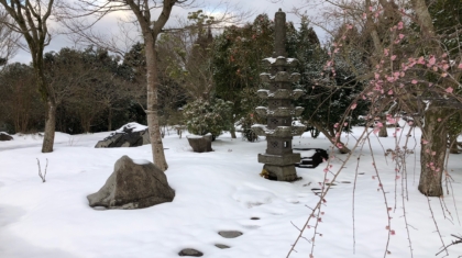 雪と梅