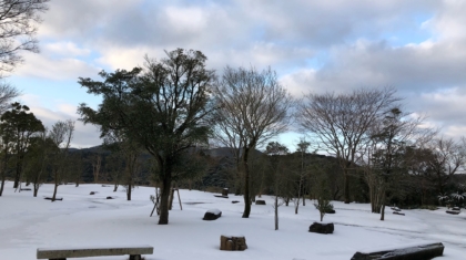 雪