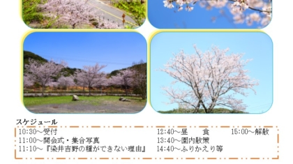 チラシ　桜R6.4.14(日)