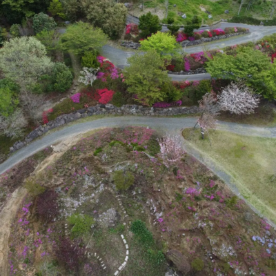 DJI_0199